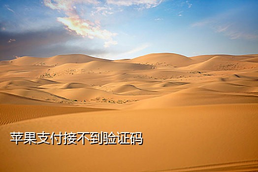 优酷视频接不到验证码