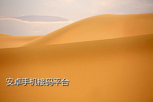 短信接码app如何使用