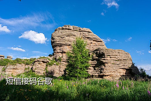 斗鱼登号接验证码有上限吗