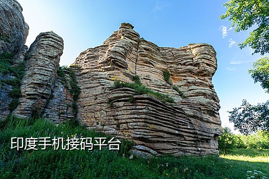 抖音语音接验证码