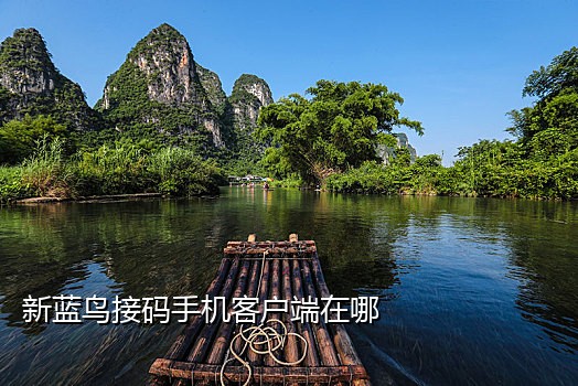 抖音接广告扫码教程是什么