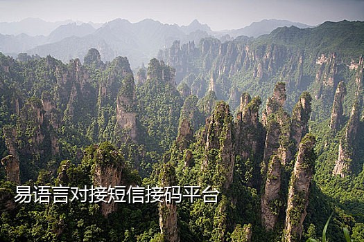 营业厅接码qq群