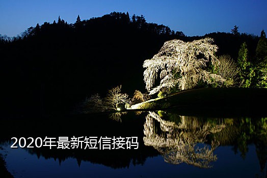 百度账号接码