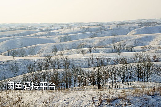 银行app接不上短信验证码