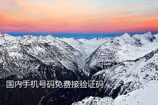 微博接码软件