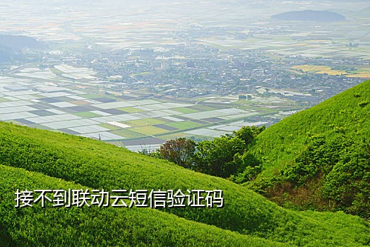 qq电话和手机电话能同时接码