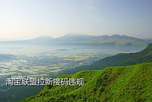 ApI短信接码教程