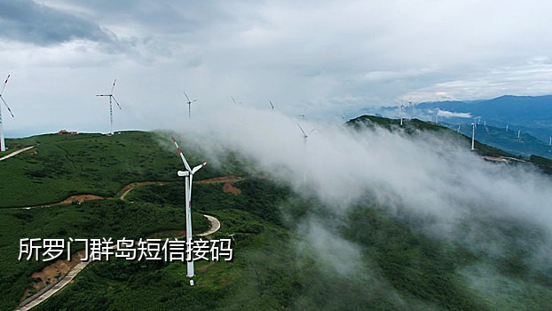 2021短信接验证码平台