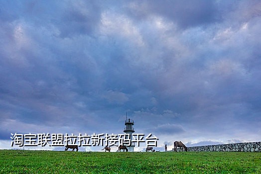 微博接码卡