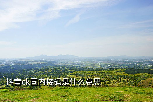 最新手机接码平台