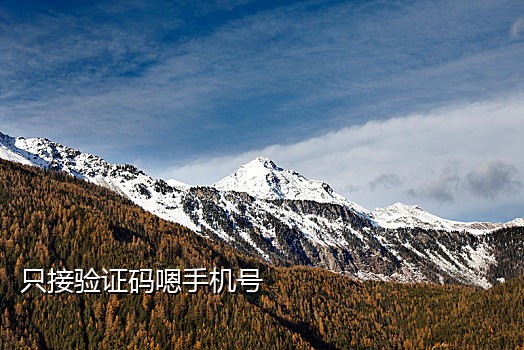 一元手机号只接验证码