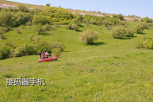 自动发卡网拼多多接码平台