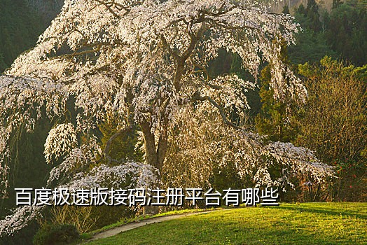 注销抖音号需要接验证码吗