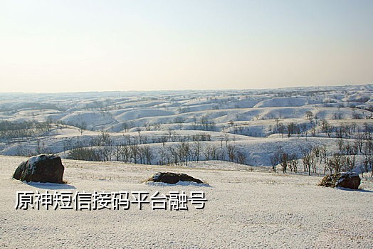 注册码手机接不到短信