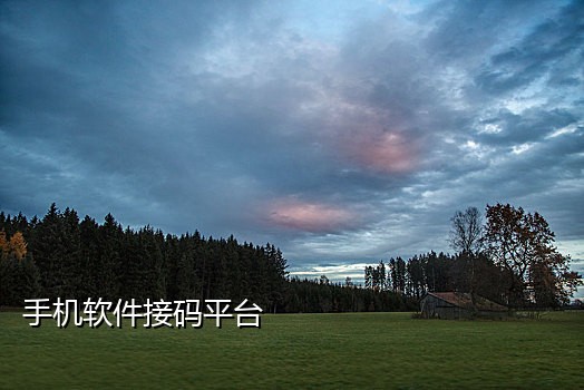 夜神接码短信平台是真的吗