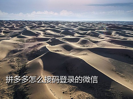 中介接微信付款码