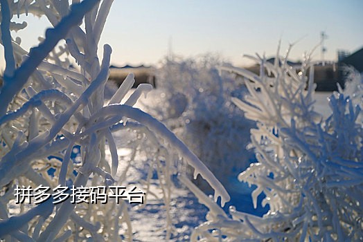 致富宝手机接码