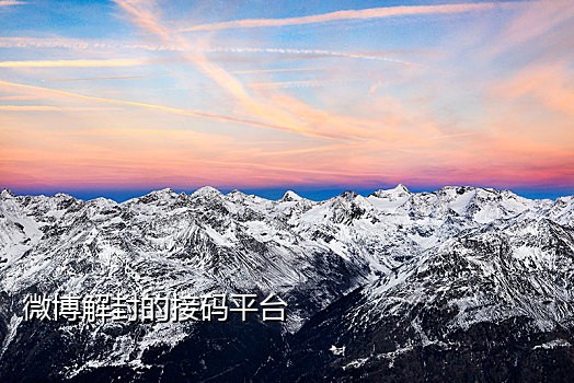 支付宝无法接验证码