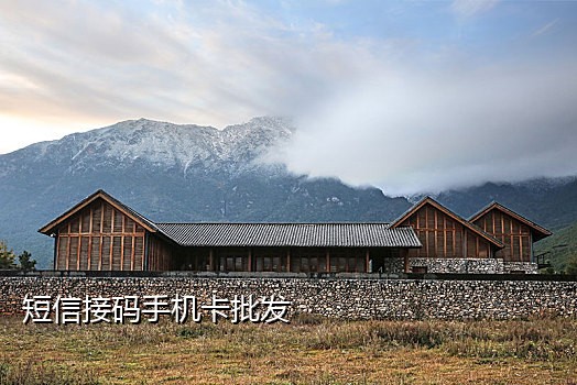 雪碧接码手机号