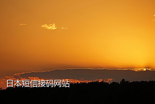 虚拟手机号接码网站