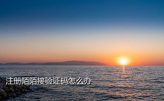 新加坡手机号码接码