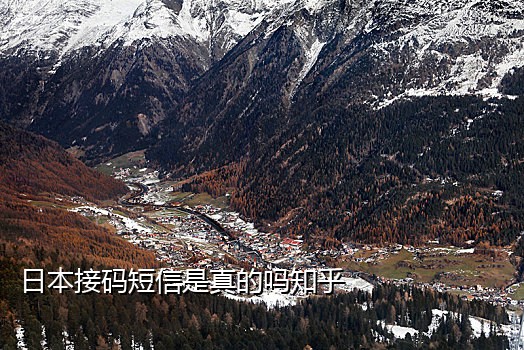 西瓜视频接码平台