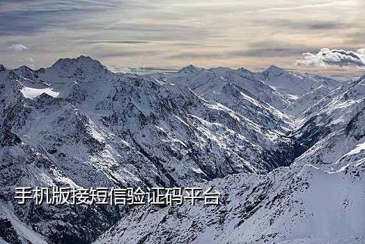 违章手机接不到验证码