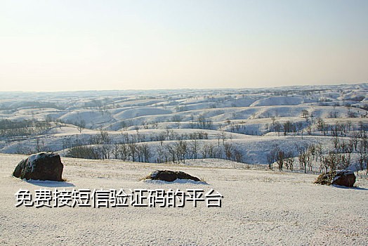 微信注册接码软件有哪些免费