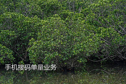 微信接码多少钱