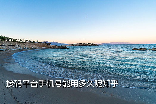 淘宝手机号码注册接码软件