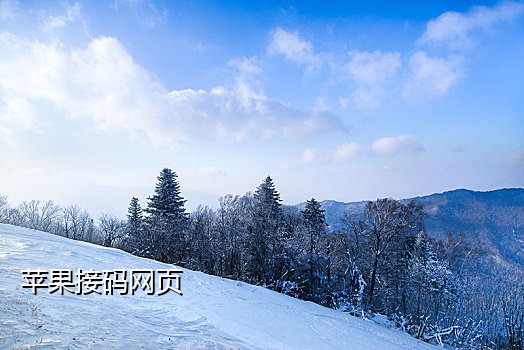 淘宝接码违法吗