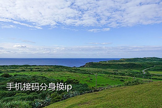 探探接码什么意思