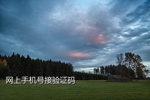 台湾手机号接码平台