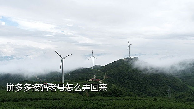 新手机号接验证码