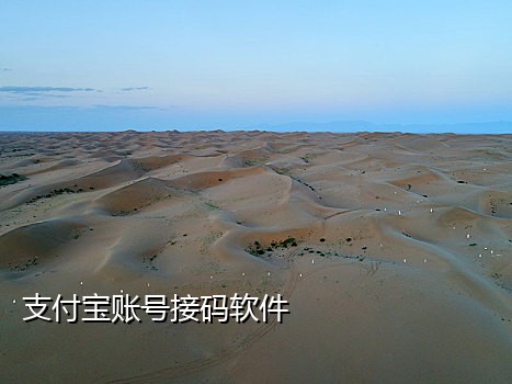手机自动接码平台