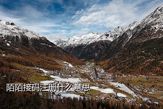 手机注册码接码平台