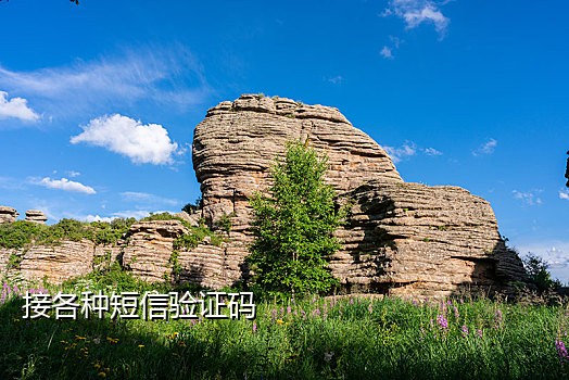 手机怎么接国外验证码