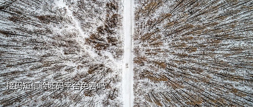 手机验证码接码平台搭建