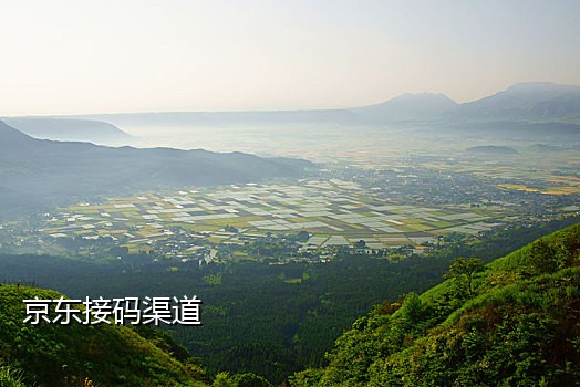 手机免费接码短信平台