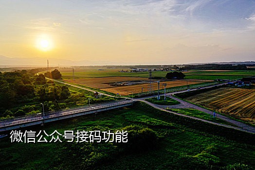 手机接码上