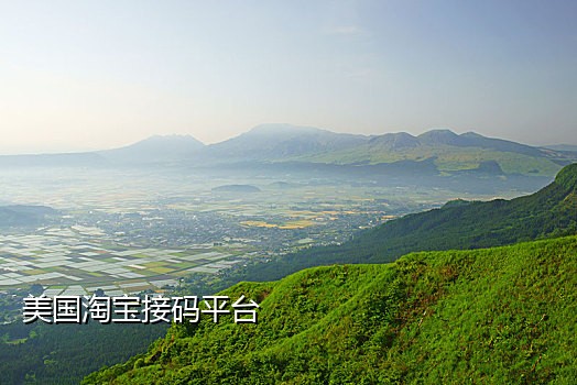 手机接码平台怎么用