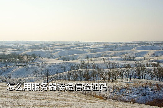 手机接码骗局套路大全图片