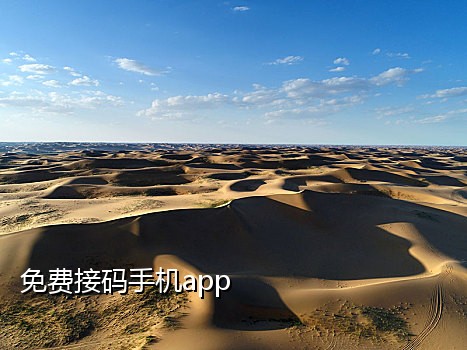 手机接短信码软件
