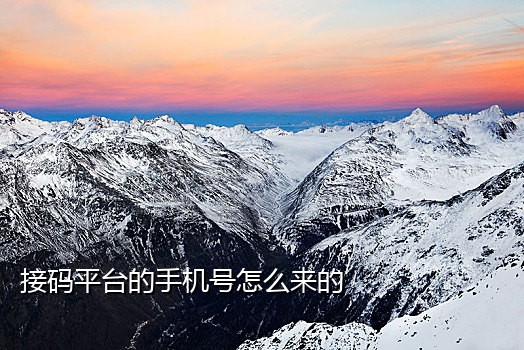 手机号验证码接码短信网站