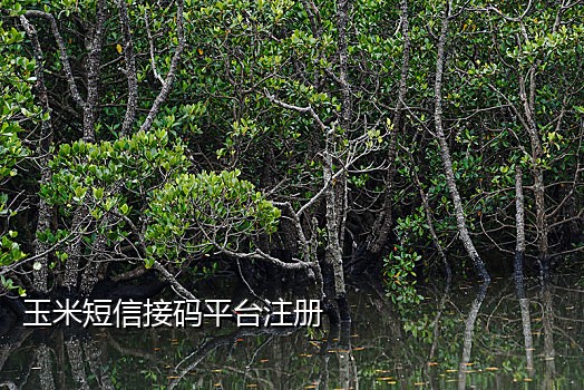 手机号收费接码平台是什么