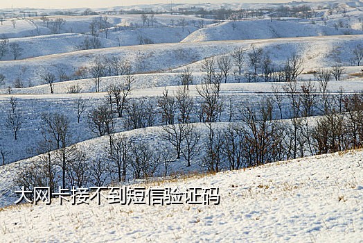 手机号码接码网