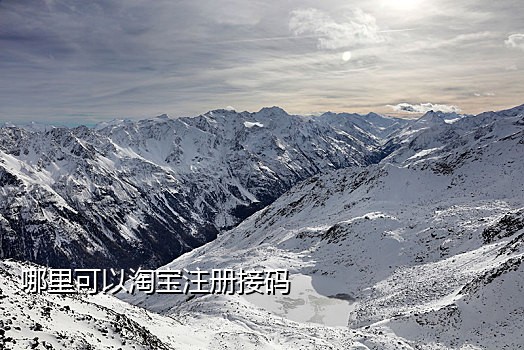 小红书能用接码登录吗