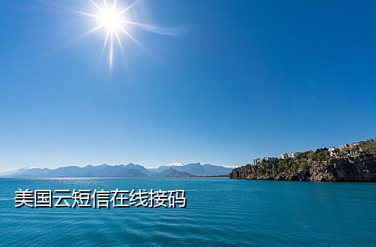 手机短信验证接码网站
