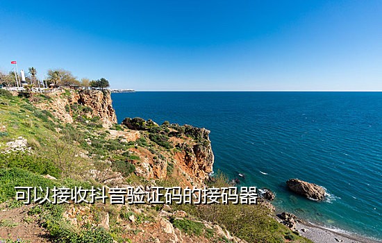 手机短信接码软件有哪些