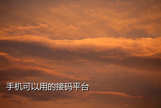 手机短信接码平台手机版